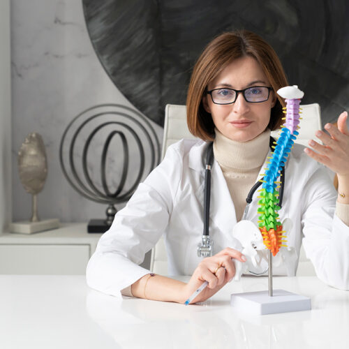 Modele anatomiczne – klucz do pojęcia biologicznego organizmu w dziedzinie nauki, sztuce lekarskiej oraz kształceniu.