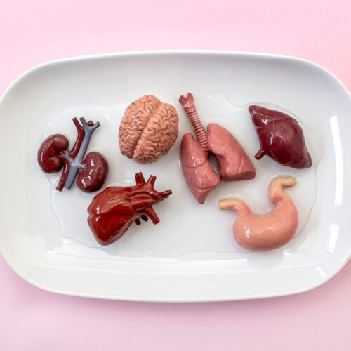 Modele anatomiczne w obrębie współczesnych metod kształcenia jak również działalności lekarskiej